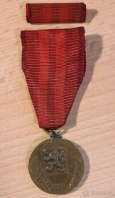 Medaile Za službu vlasti.