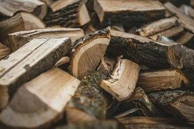 Palivové dřevo dříví rychlé dodání