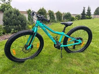 Scott Roxter 24