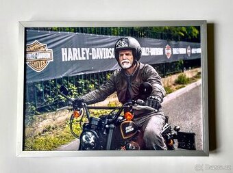 PREZIDENT  PAVEL   A   HARLEY  DAVIDSON
