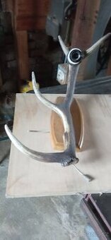 Nástěnná lampa s paroží