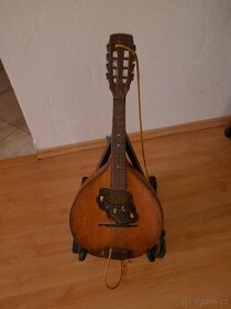 Kytary a mandolina