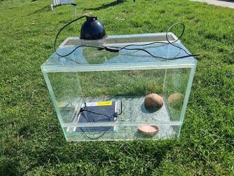 Terarium