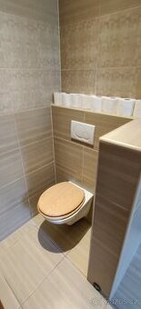 WC mísa + podomítkový modul geberit + tlačítko