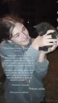 Koťátko