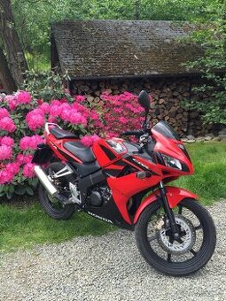 Honda CBR 125 R