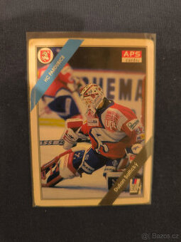 Hokejová Karta - Dušan Salfický APS 94/95