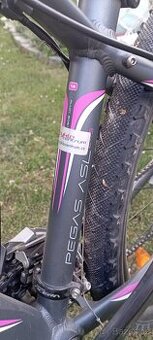 Mtb 14 - 1
