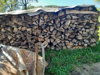 Palivové dřevo