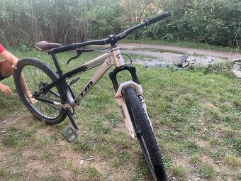 Custom CTM dirtking