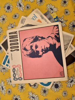 SP deska ružné druhy výběr dle foto 4