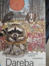 Prodám knihu Sterling North: Dareba