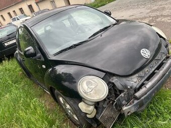 Dily beetle