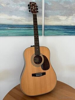 Cort Earth 70 NS