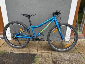 Dětské kolo Amulet 24''