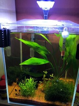 Akvárium 30l
