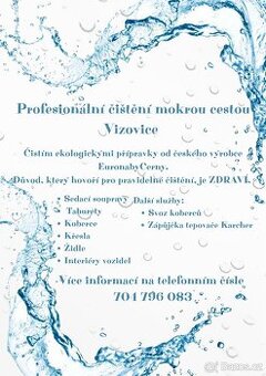 Úklid domácnosti a tepování čalounění