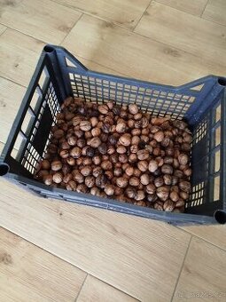 Vlašské ořechy neloupané 8 kg