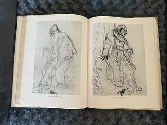 Mikoláš Aleš - Vlast