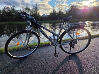 Leader Fox Toscana Lady 19"