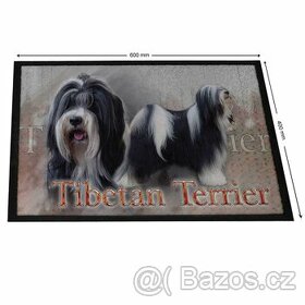 Kobereček - Tibetský teriér