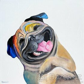 Obraz olejomalba na plátně pes mopsík, 40x40 cm