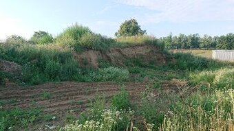 Hlína za odvoz Kunemil
