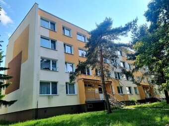 Byt 1+1, Aléská, Bílina