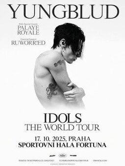 Koupím 2 lístky na Yungblud 17.10.2025 Praha
