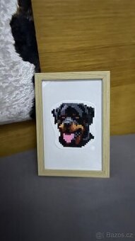 Obrázek rotvajlera/ jorkšíra