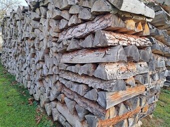 Palivové dřevo