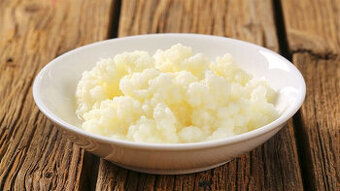 Tibetská Houba-léčivé účinky-Levně