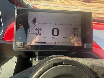 Buggy CF moto 1000asx