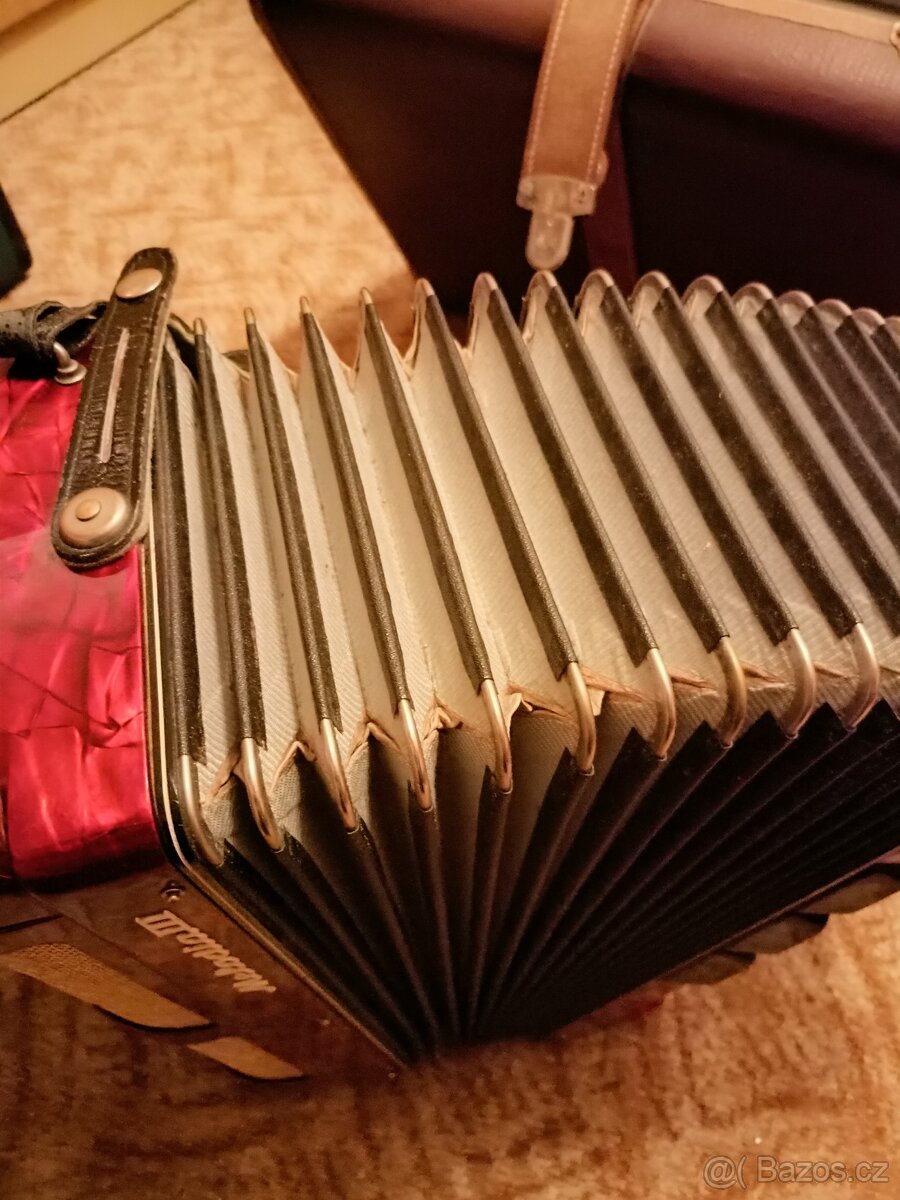 Akordeon LIGNATONE a Delicia - 2