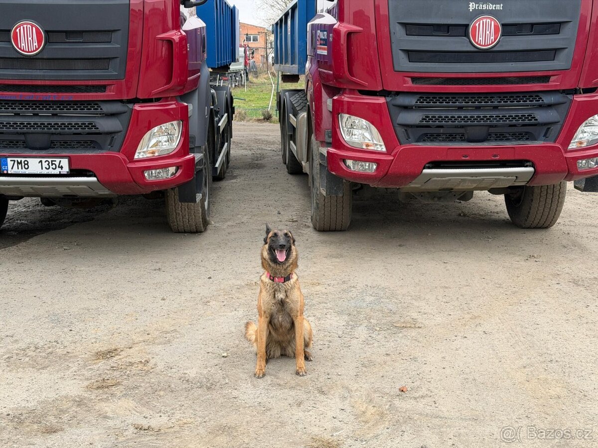 Nákladní auto Tatra - DOHODOU - 2