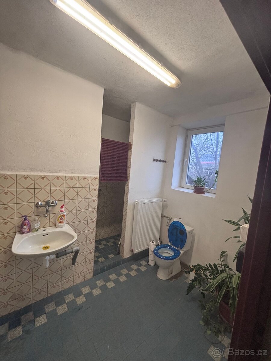 Ustájení a výcvik koní - 2