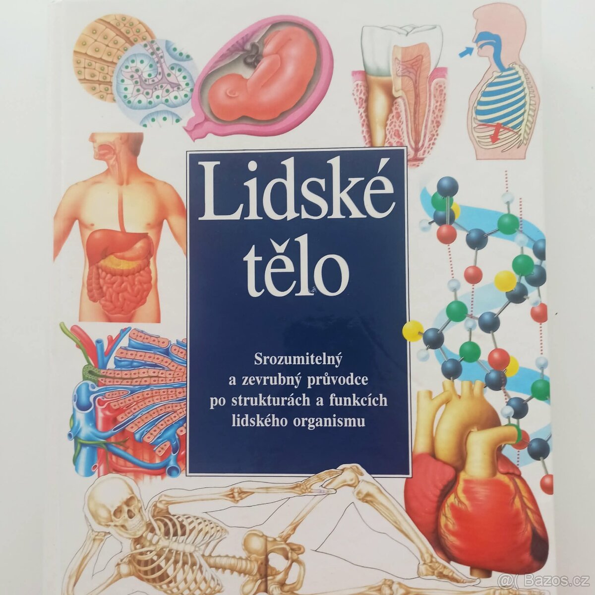 LIDSKÉ TĚLO - kniha - 2