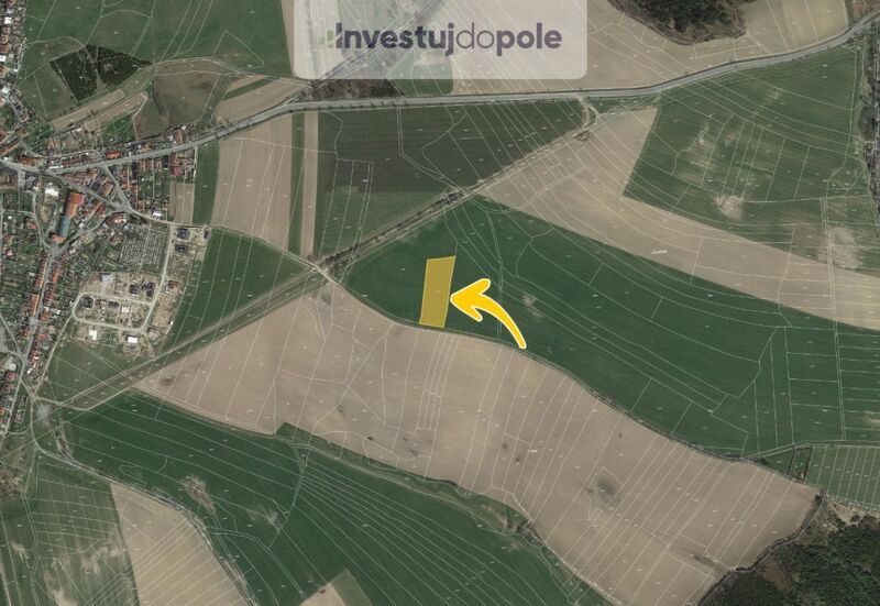 Prodej pole v k.ú. Žďárná - 2