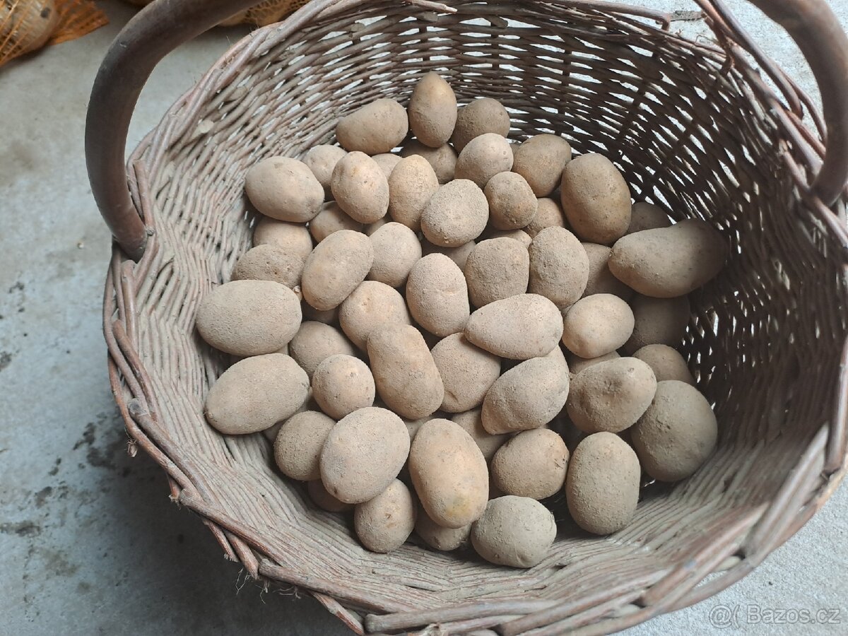 Gurmánské brambory - 2