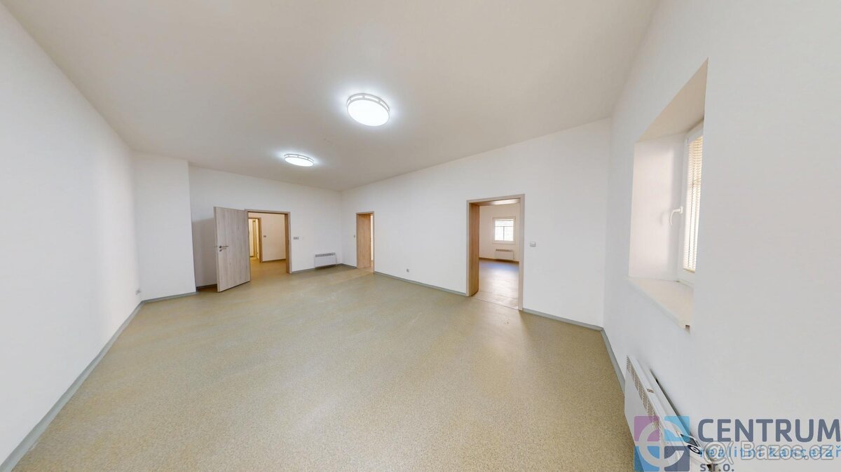 Pronájem bytu 4+1, 114 m2 - 2