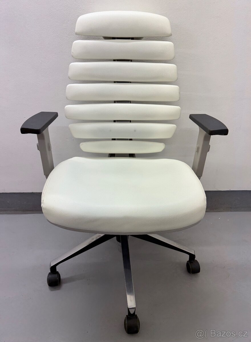 Kancelářská židle Mercury Fishbones - 2