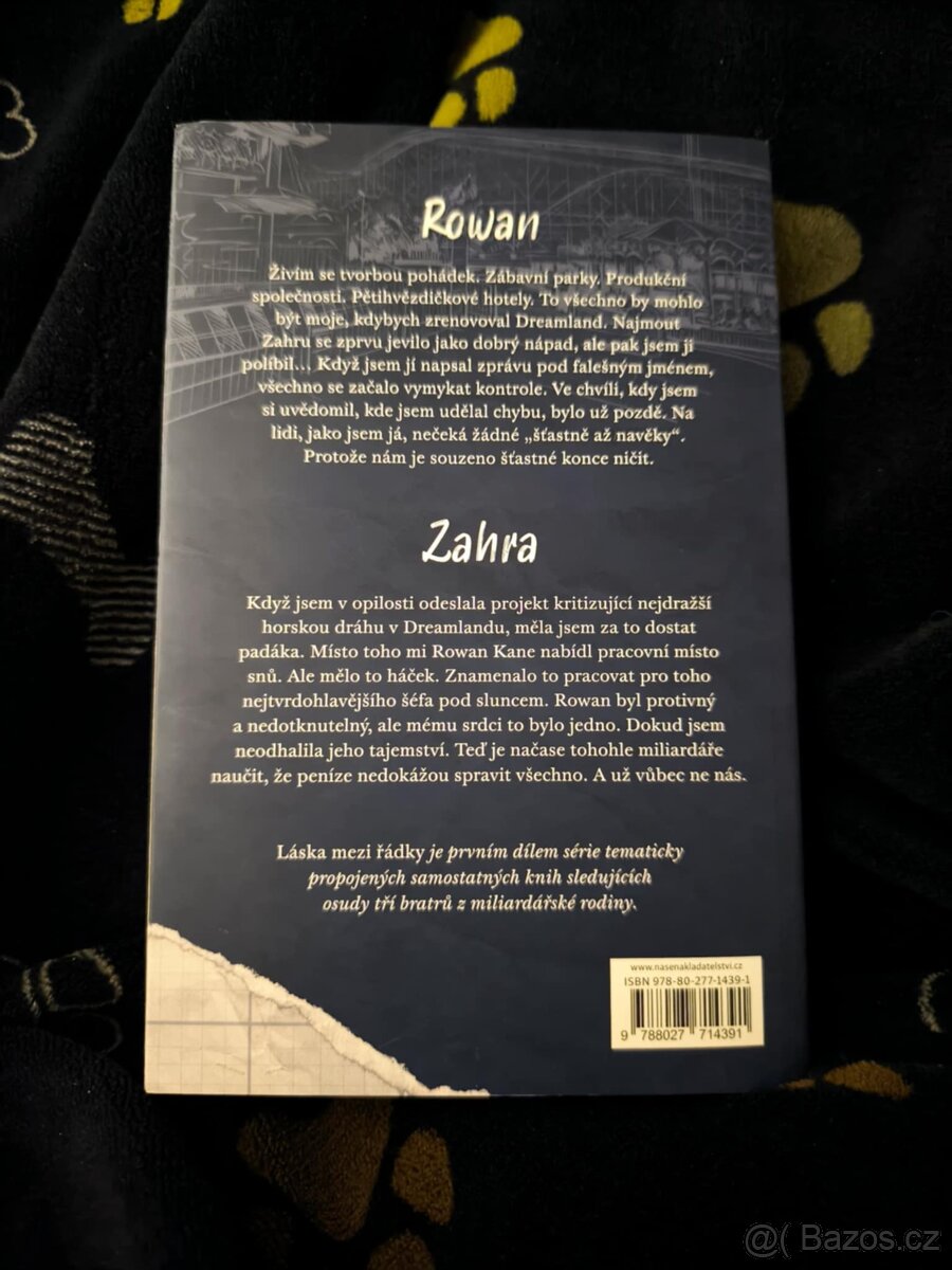 Láska mezi řádky - Lauren Asher - 2