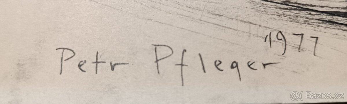 Obraz Petr Pfleger - 2
