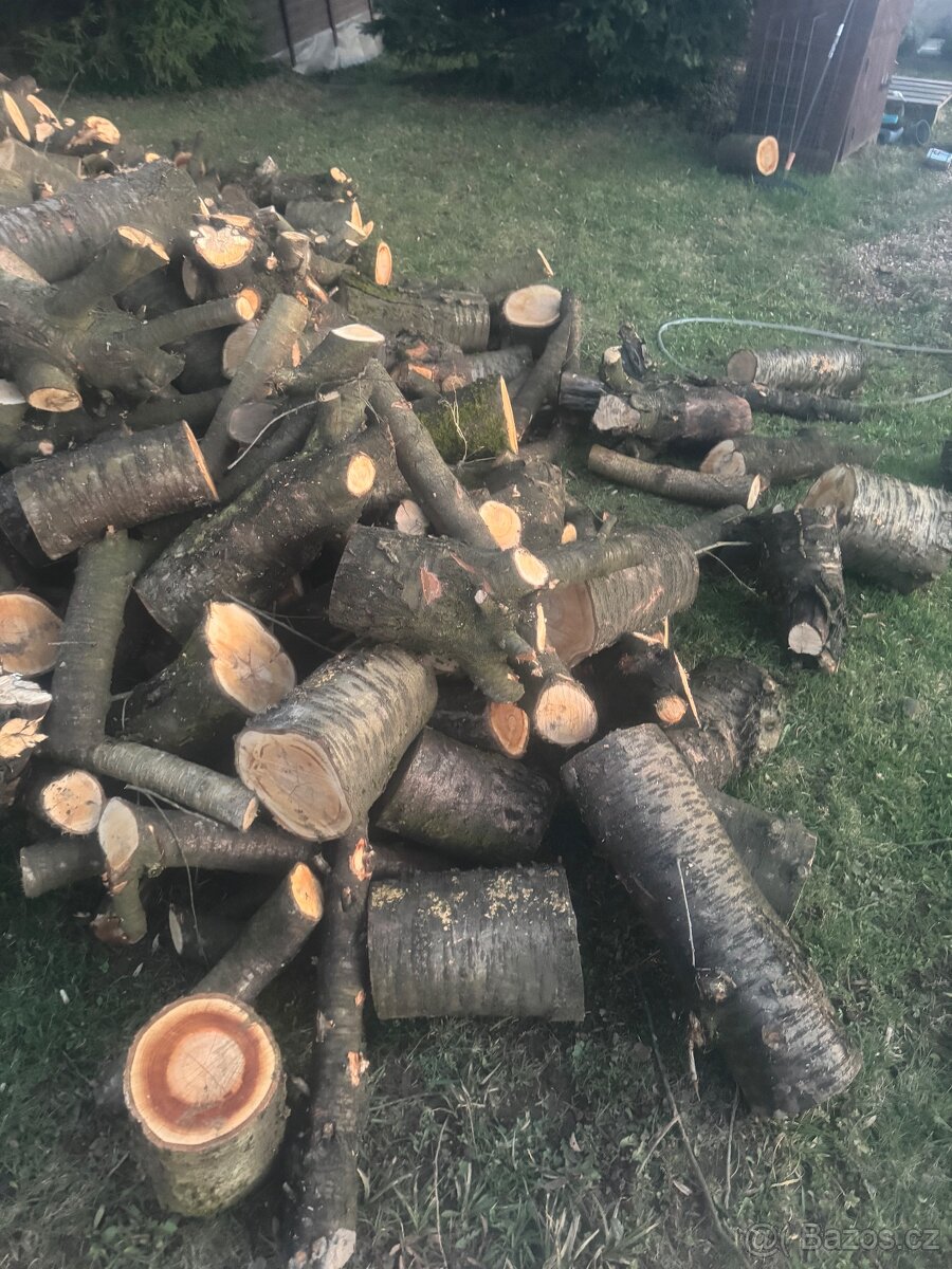 Palivové dřevo - 2