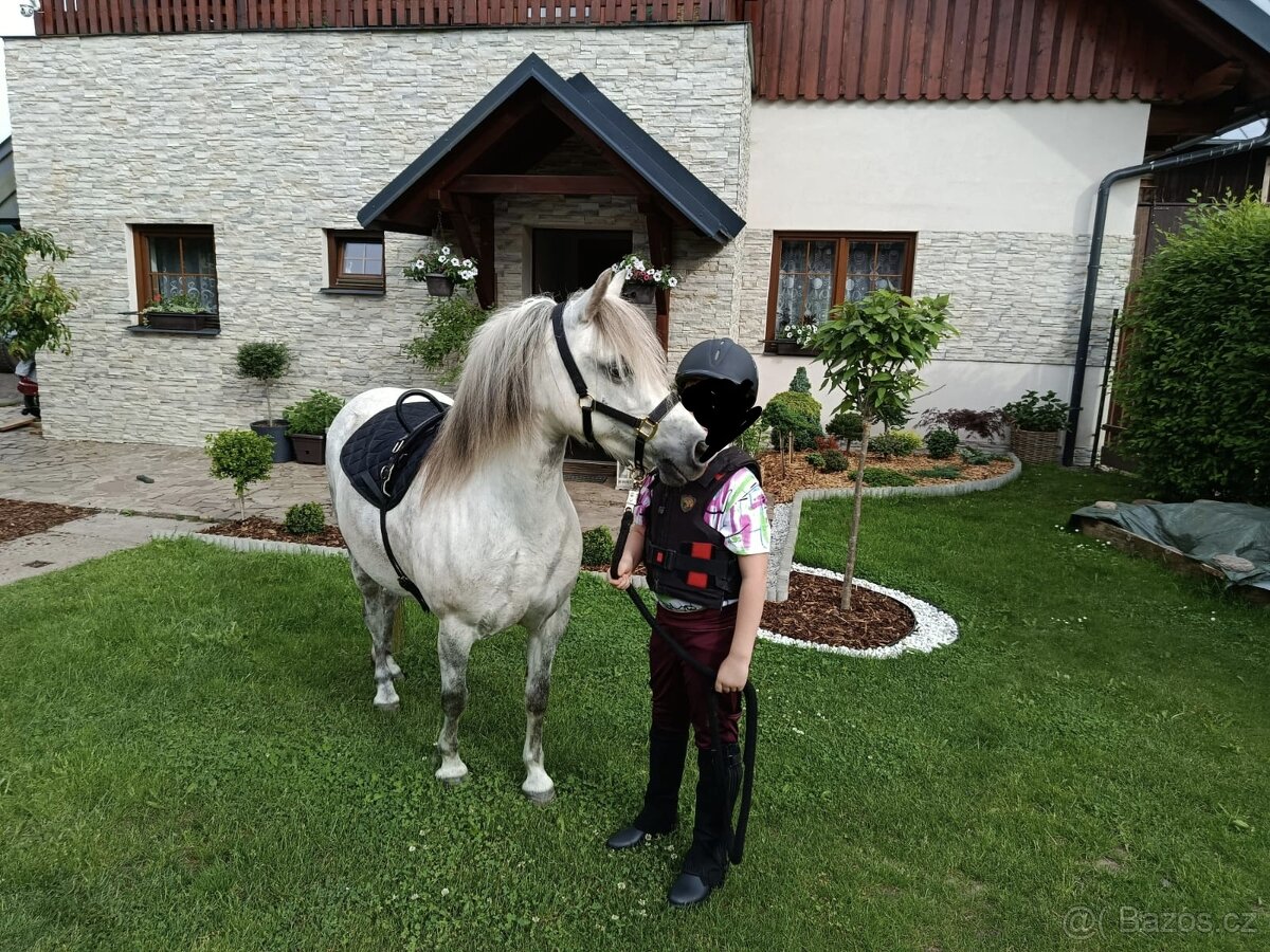 Prodám pony kobylku - 2