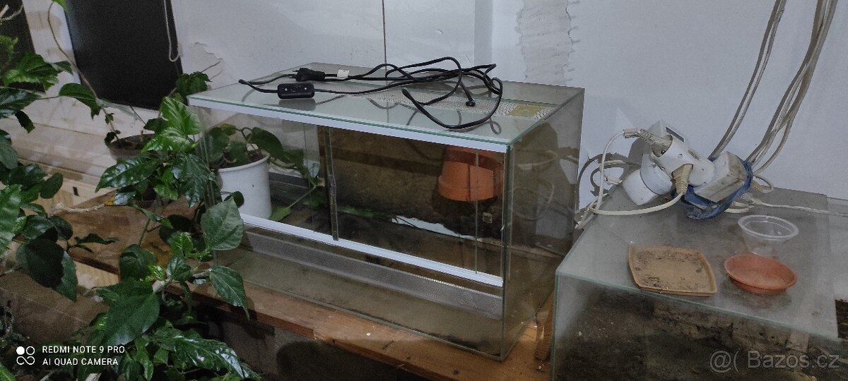 Terárium - 2