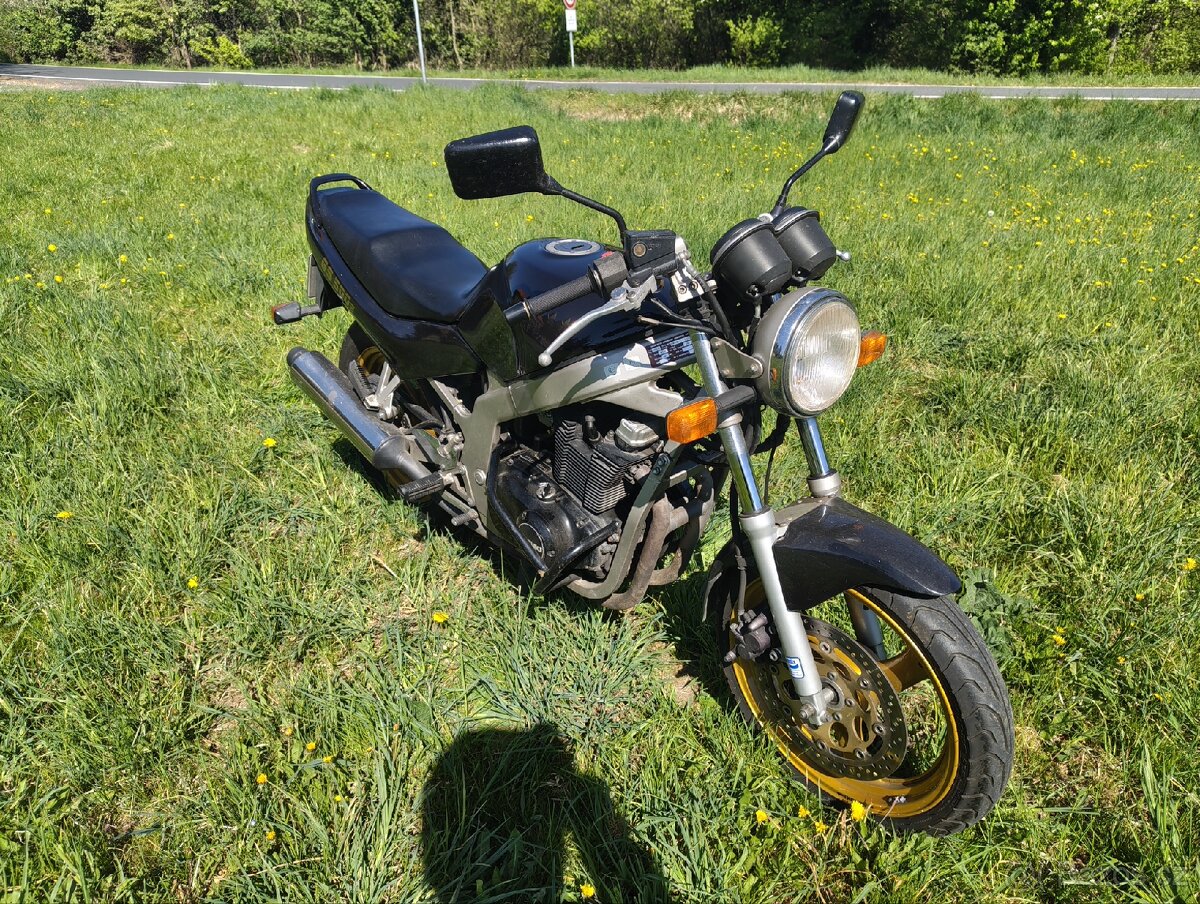 Suzuki GS500E - 2
