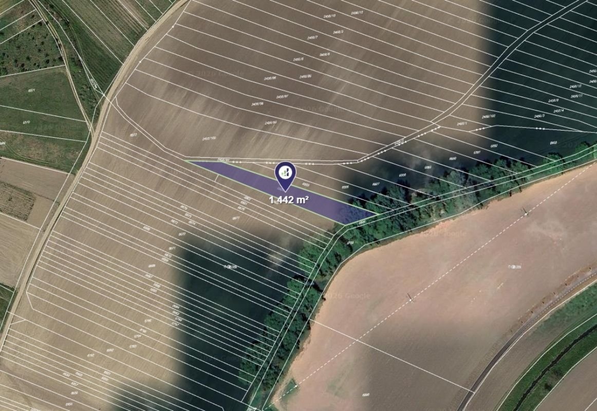 Prodej podílu 1/5 pole 915 m², Kobylí - 2