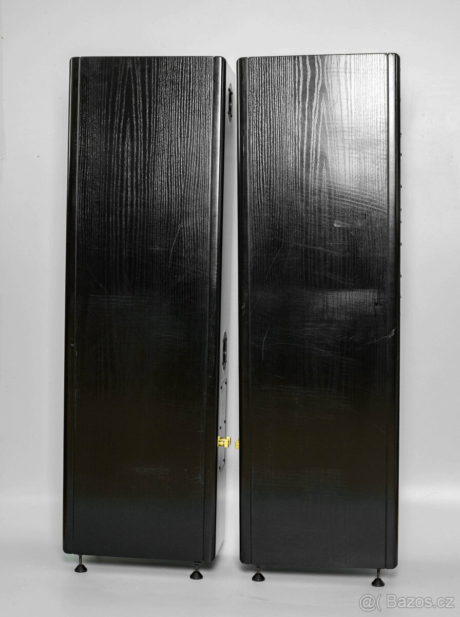 Vienna Acoustics Apis - 2