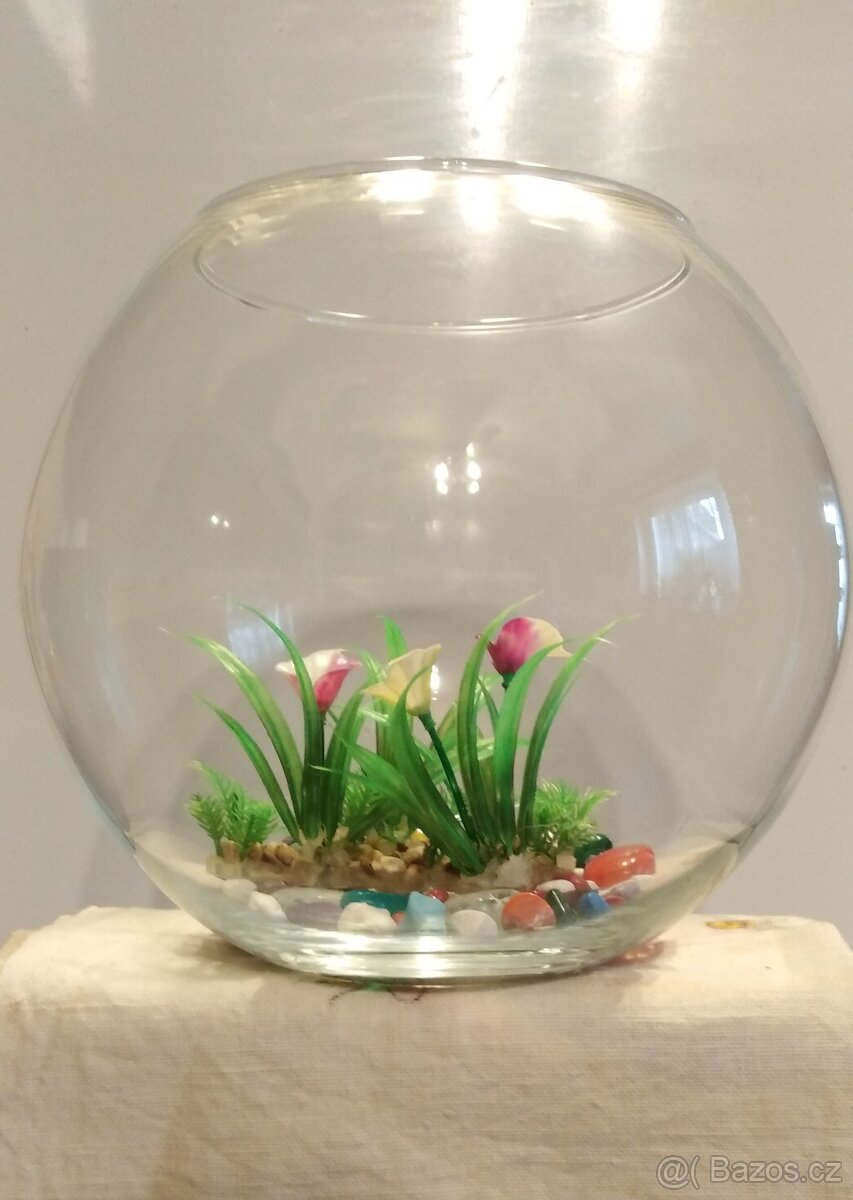 Prodám akvárium skleněná koule 7,5 L - 2